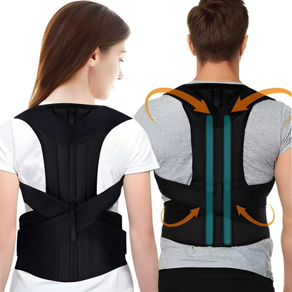 Back support belt for men and women

